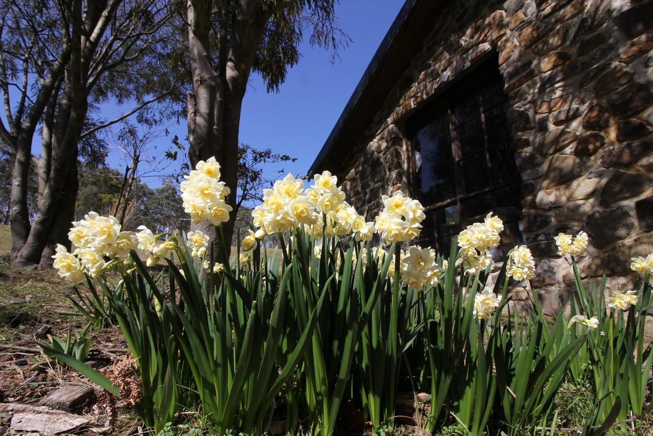 The Great House Bnb Buckland Екстериор снимка